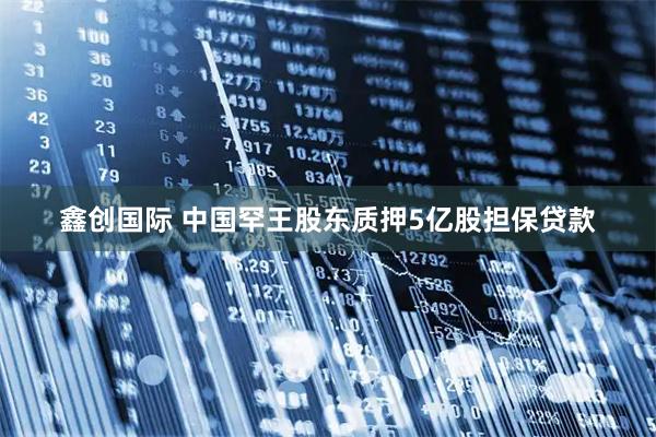 鑫创国际 中国罕王股东质押5亿股担保贷款