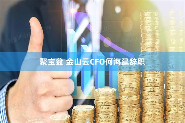 聚宝盆 金山云CFO何海建辞职