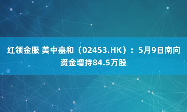红领金服 美中嘉和（02453.HK）：5月9日南向资金增持84.5万股
